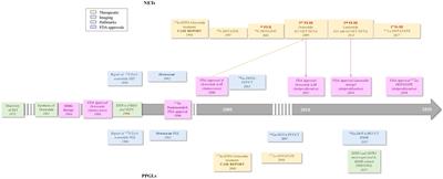 Somatostatin Receptors and Analogs in Pheochromocytoma and Paraganglioma: Old Players in a New Precision Medicine World